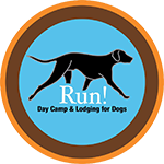 Run! Day Camp for Dogs